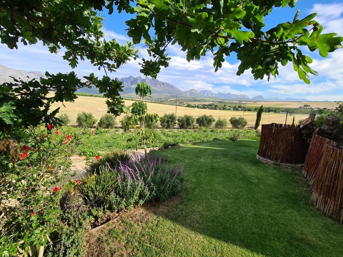 Vineyard Cottage At Bosman Wines Wellington Luaran gambar
