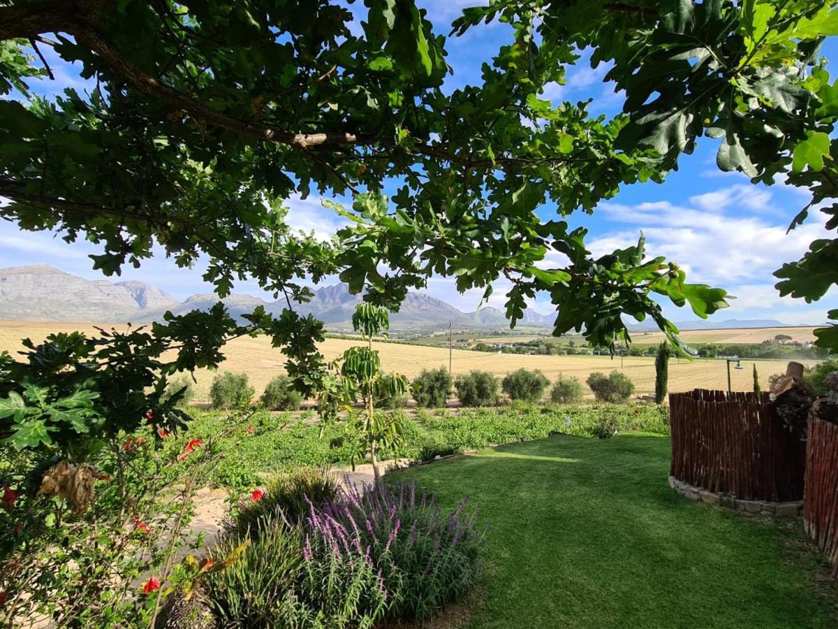 Vineyard Cottage At Bosman Wines Wellington Luaran gambar