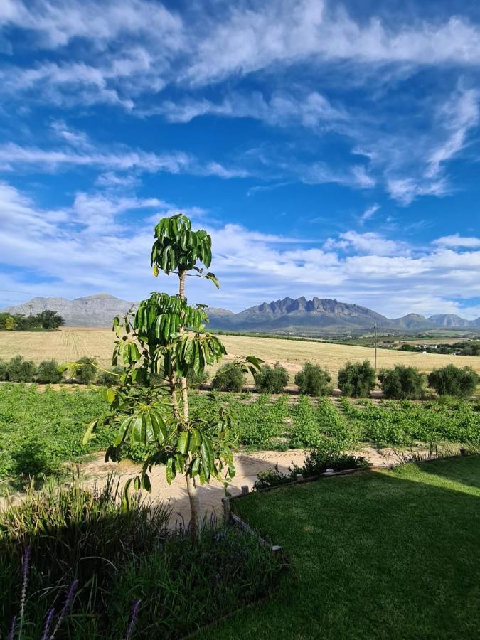 Vineyard Cottage At Bosman Wines Wellington Luaran gambar