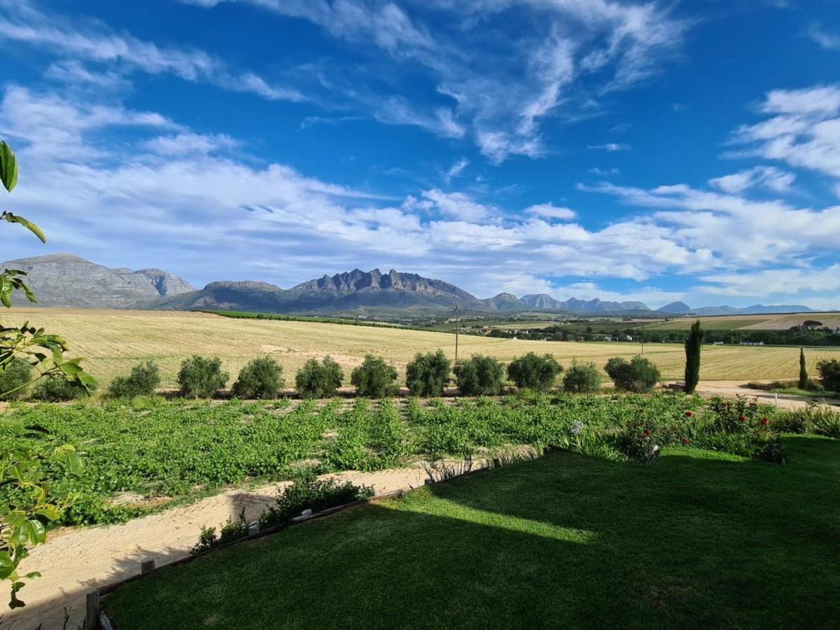 Vineyard Cottage At Bosman Wines Wellington Luaran gambar