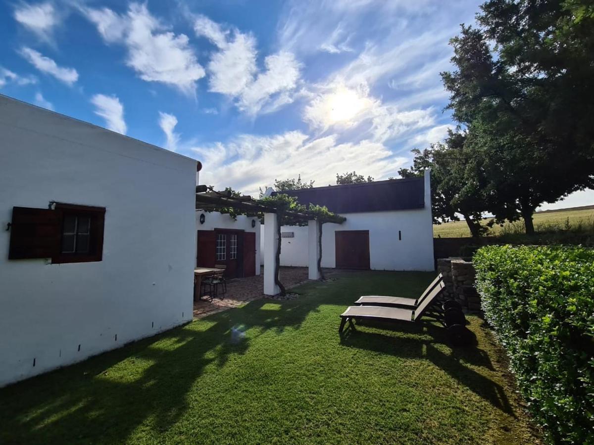 Vineyard Cottage At Bosman Wines Wellington Luaran gambar