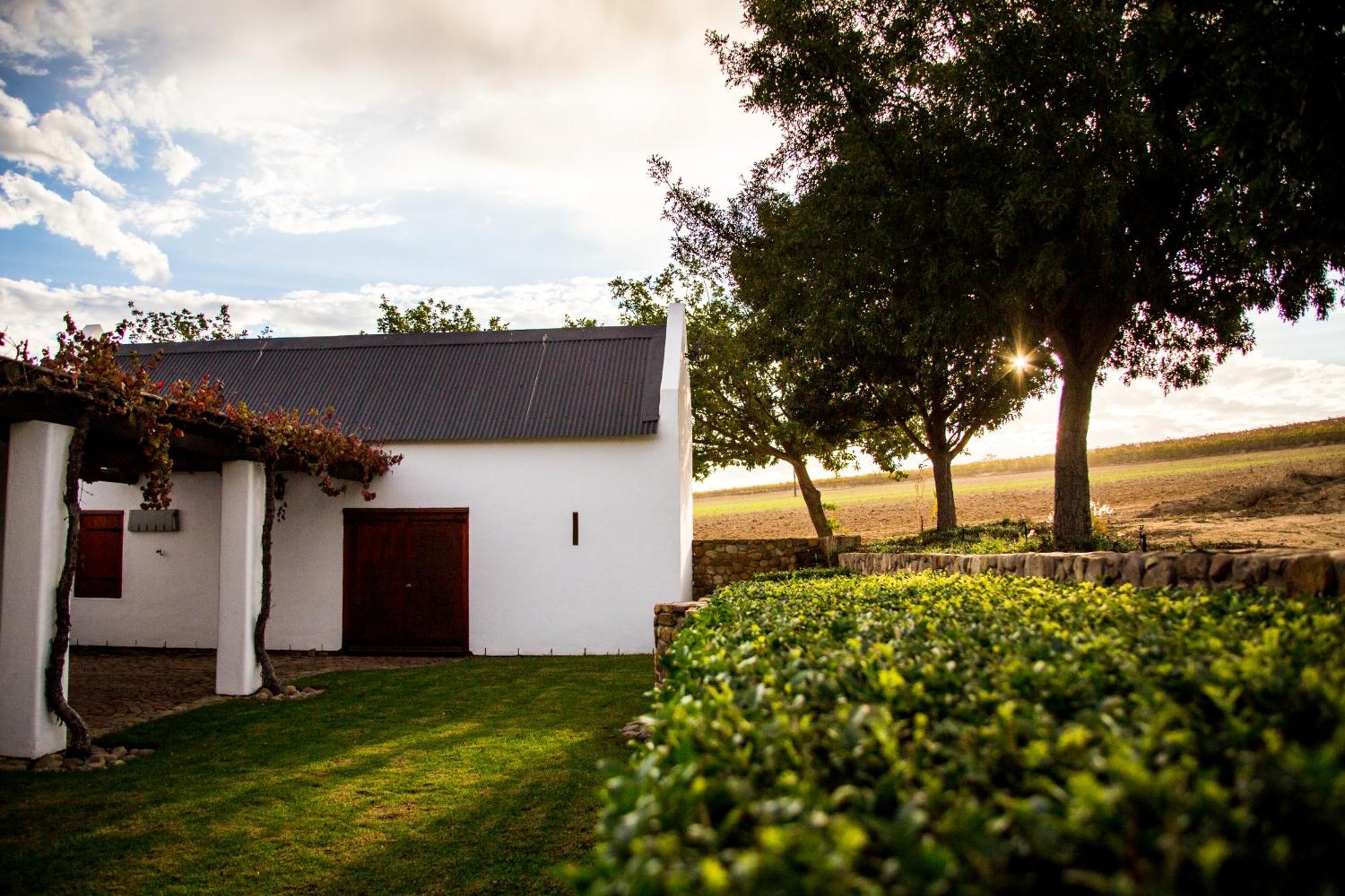 Vineyard Cottage At Bosman Wines Wellington Luaran gambar
