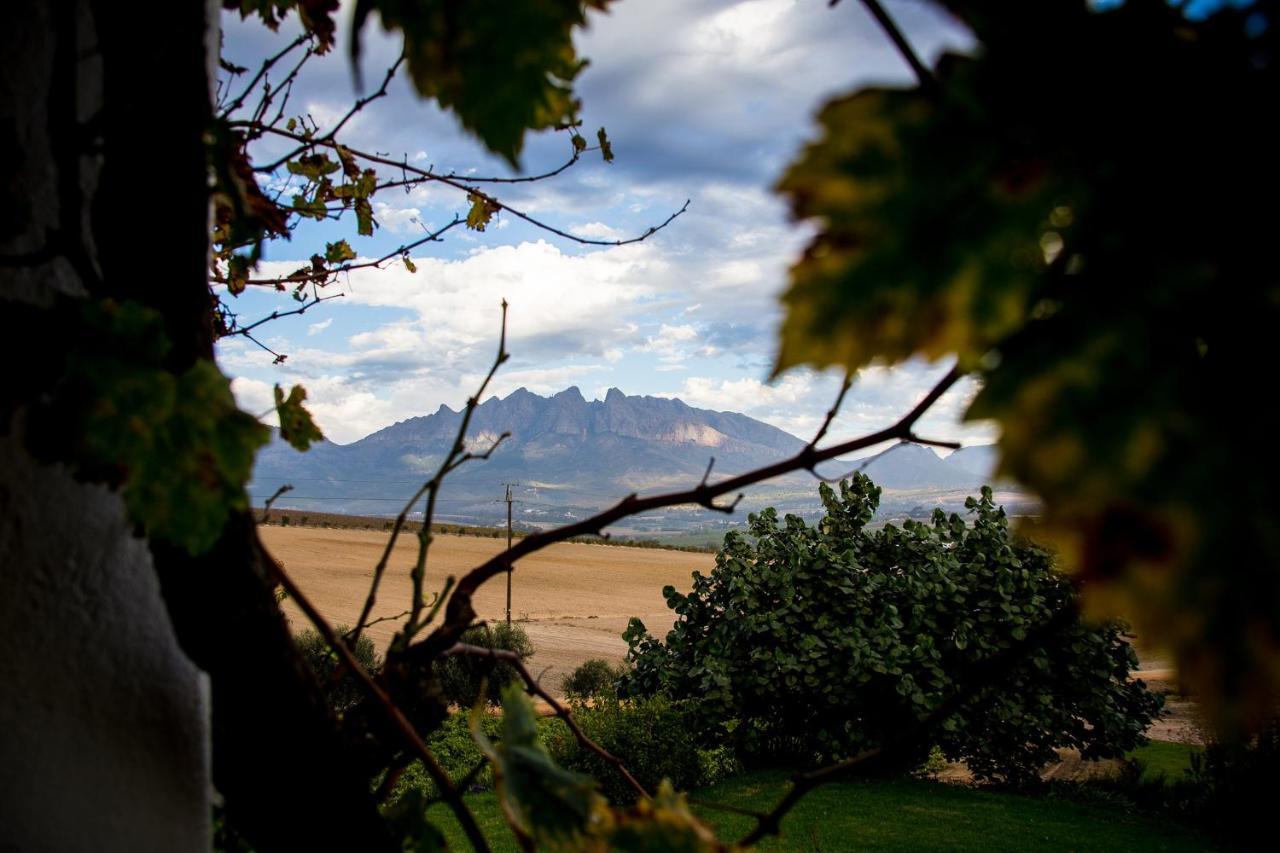 Vineyard Cottage At Bosman Wines Wellington Luaran gambar